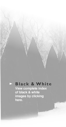 Black & White